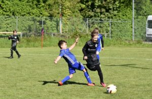 SpVgg Altenerding - FC Herzogstadt F1-Junioren