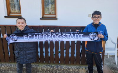 Der FCH Fanshop ist online